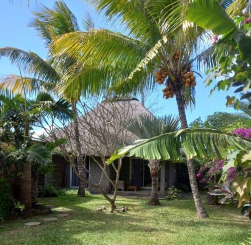 Brahmanhut - Eco Hut Experience In Harmony With Nature, Wellbeing And Spirit Bain Boeuf Εξωτερικό φωτογραφία